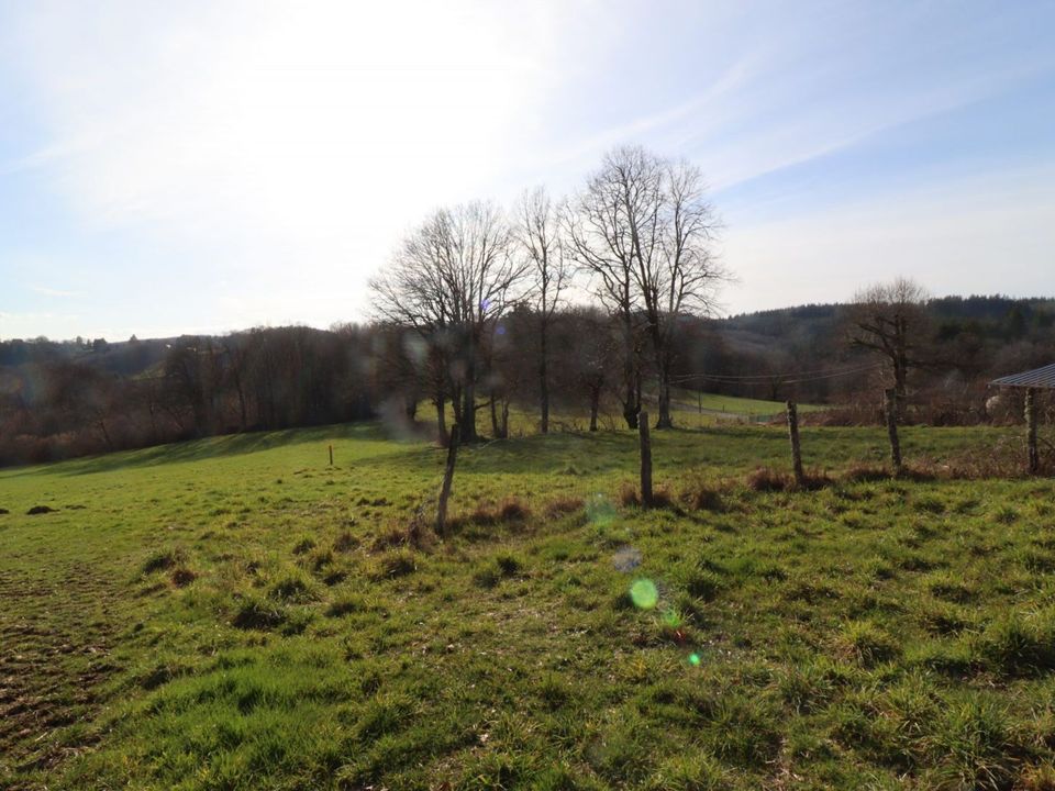 Villa i Palisse, Correze - foto 3