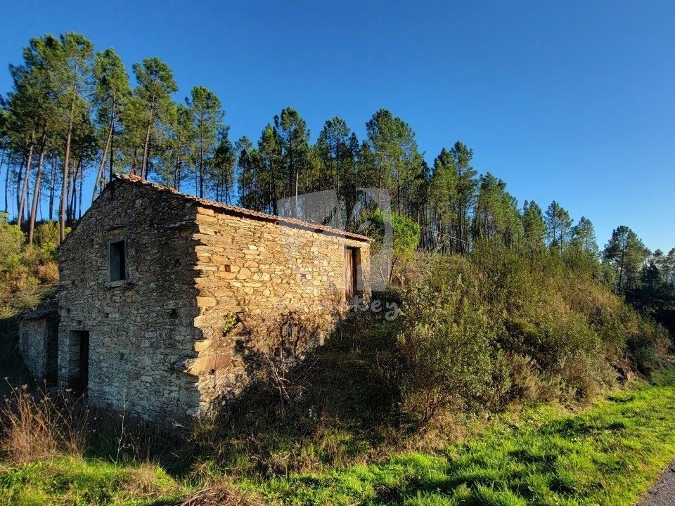 Helårsgrund i Castelo Branco, Castelo Branco - foto 1