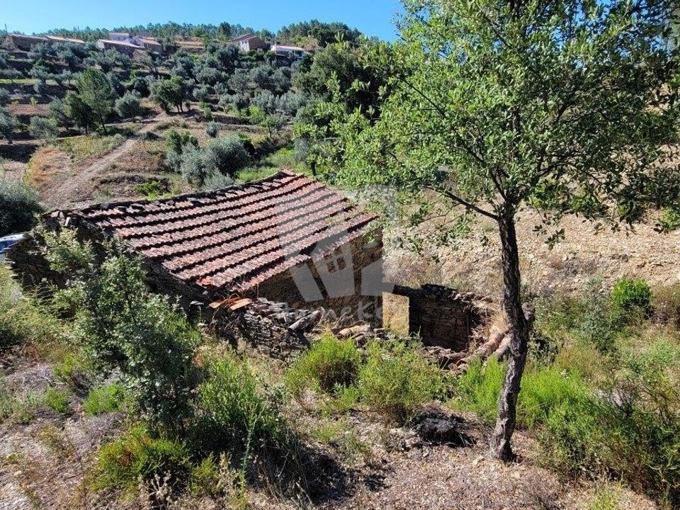 Helårsgrund i Castelo Branco, Castelo Branco - foto 4
