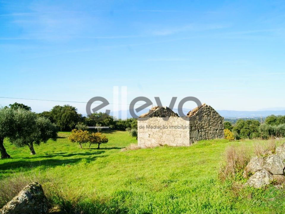 Farm i Idanha-a-Nova, Castelo Branco - foto 2