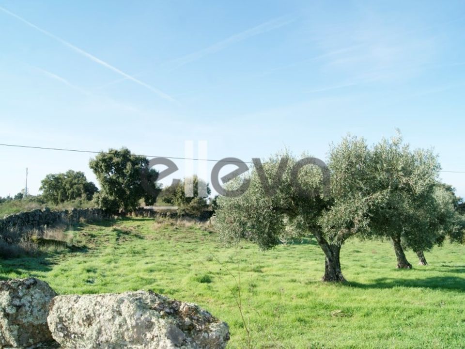 Farm i Idanha-a-Nova, Castelo Branco - foto 5