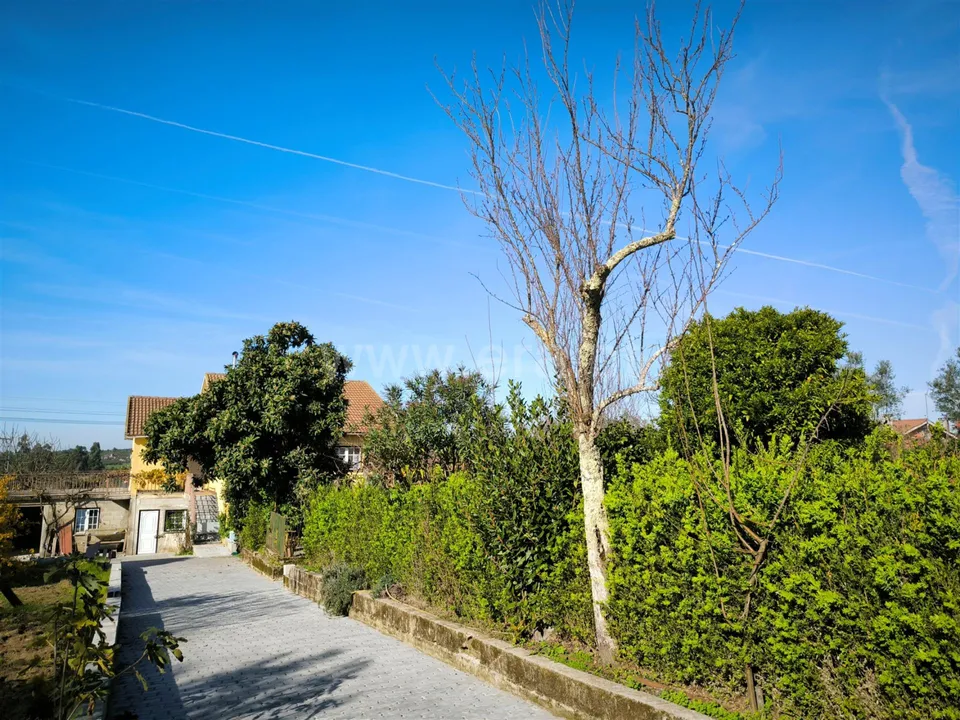 Casa de campo en Mangualde, Viseu - foto 3