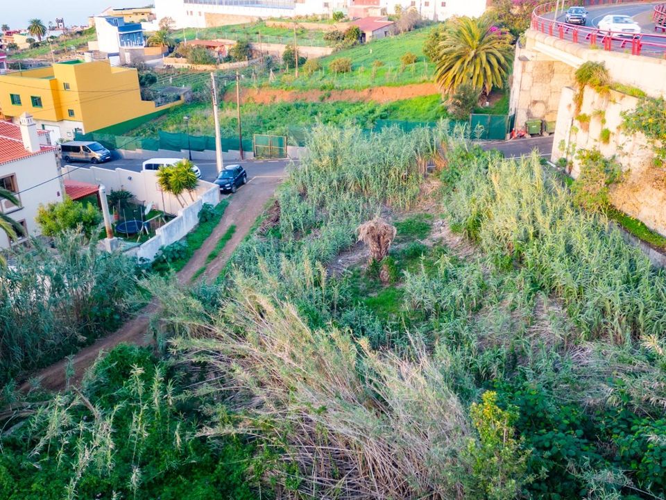 Tomt i Tacoronte, Tenerife - bilde 5