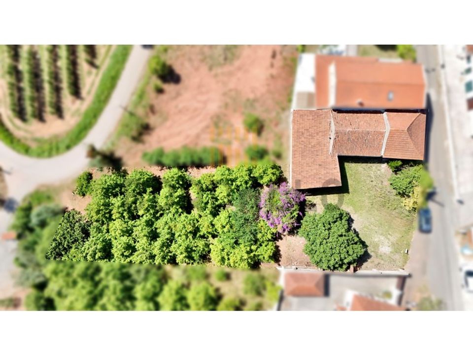Villa i Vidais, Leiria - bilde 1