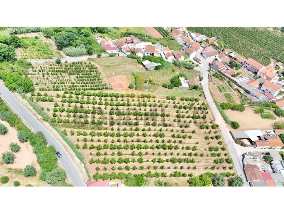 Helårsgrund i A dos Francos, Leiria - foto 3
