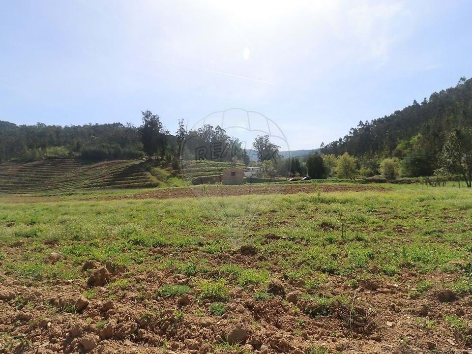 Farm hus i Arganil, Coimbra - foto 2