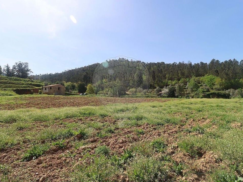 Farm hus i Arganil, Coimbra - foto 3