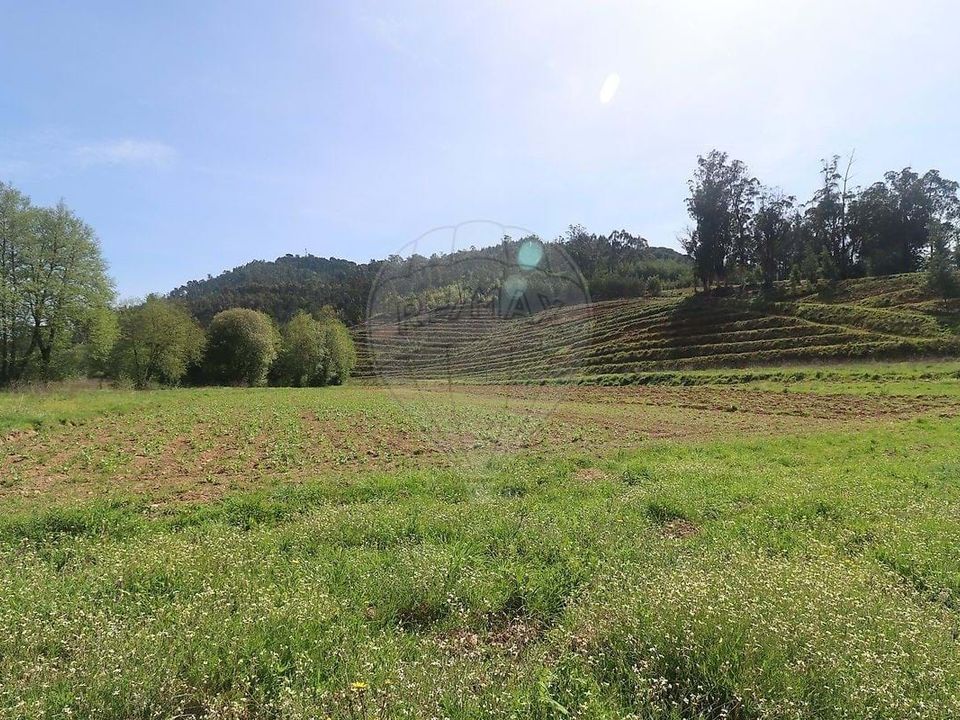 Farm hus i Arganil, Coimbra - foto 4
