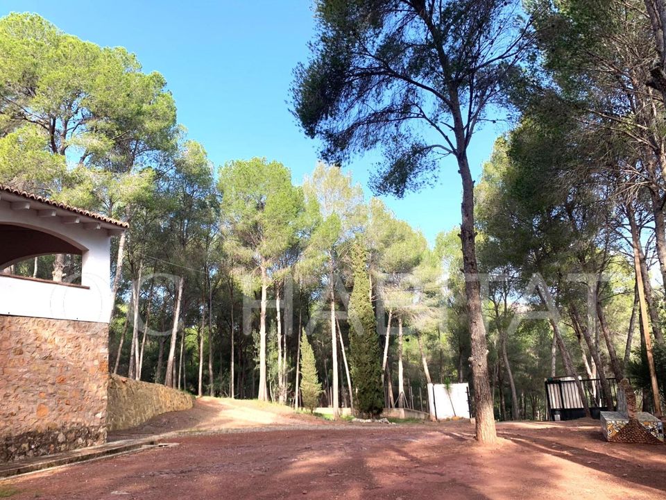 Villa i Naquera, Valencia - foto 1