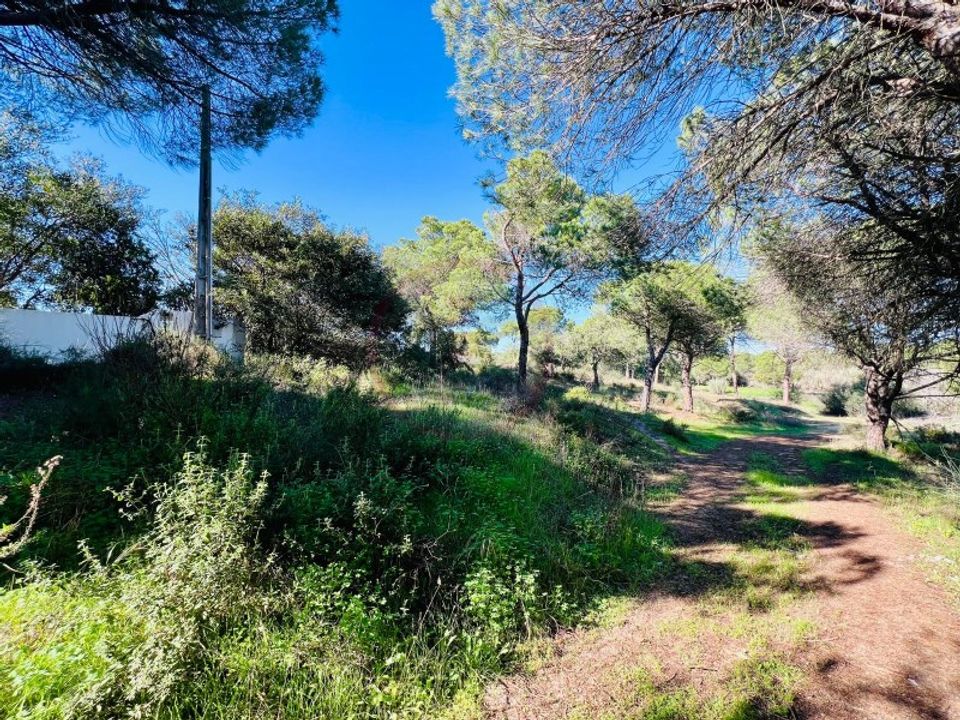 Helårsgrund i Almancil, Faro - foto 1