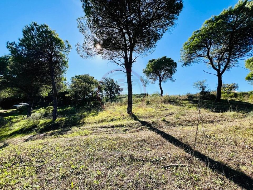 Helårsgrund i Almancil, Faro - foto 3