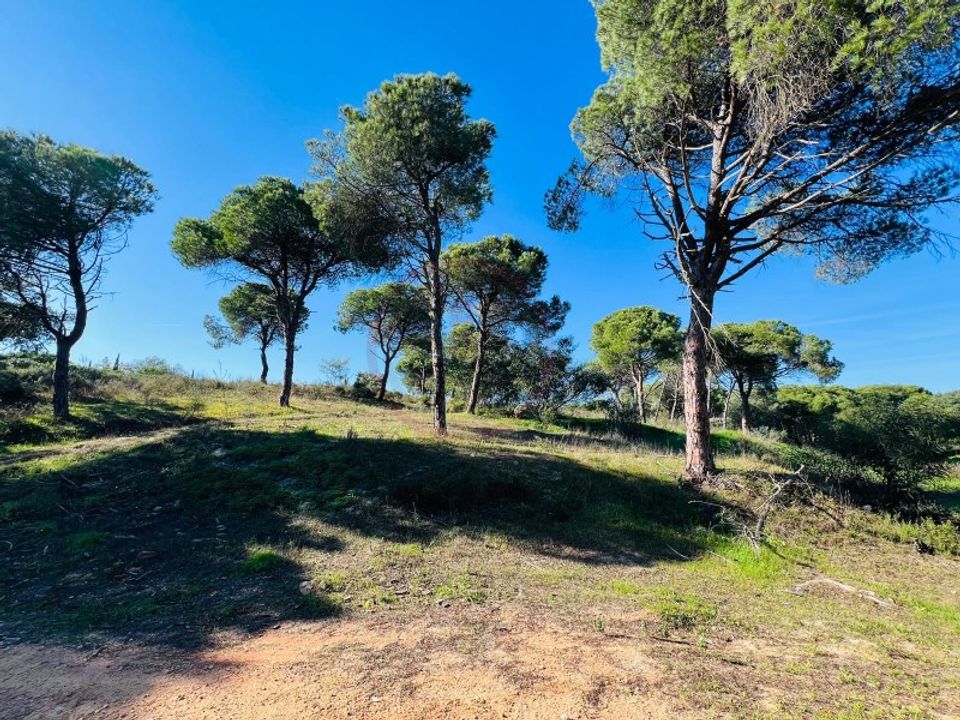 Helårsgrund i Almancil, Faro - foto 4