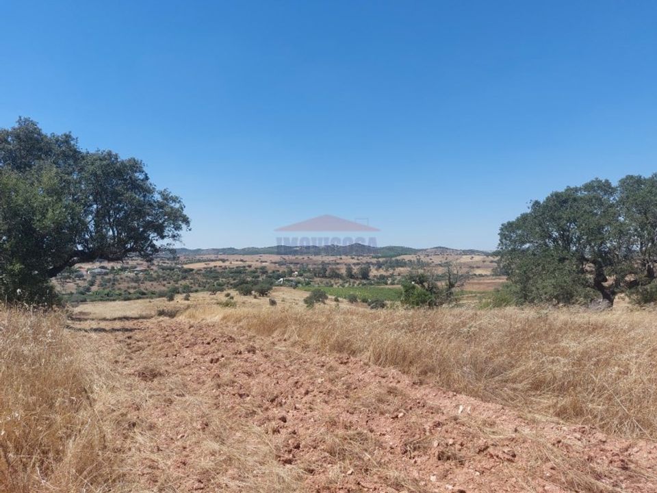 Helårsgrund i Sao Pedro do Corval, Evora - foto 3