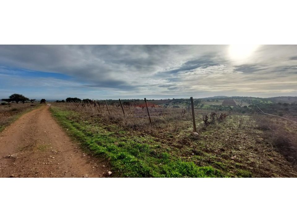 Helårsgrund i Sao Pedro do Corval, Evora - foto 1