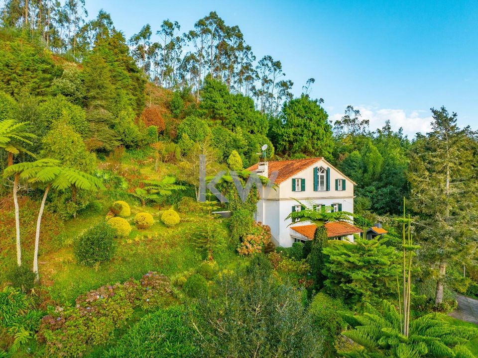 Farm i Machico, Madeira - foto 5