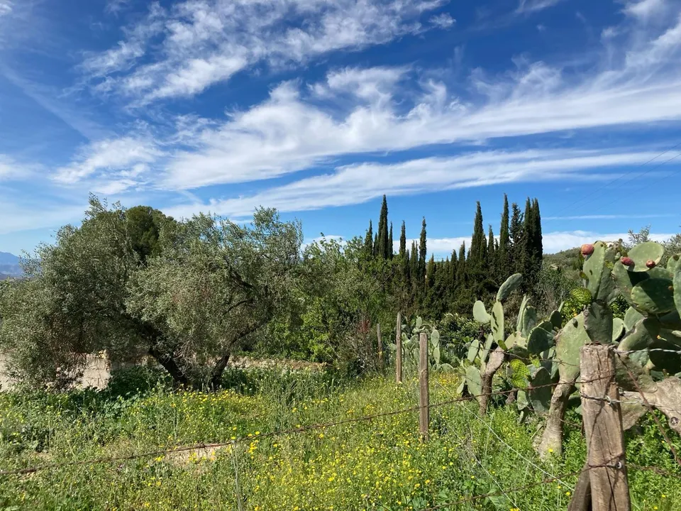 Landejendom i Antequera, Malaga - foto 4