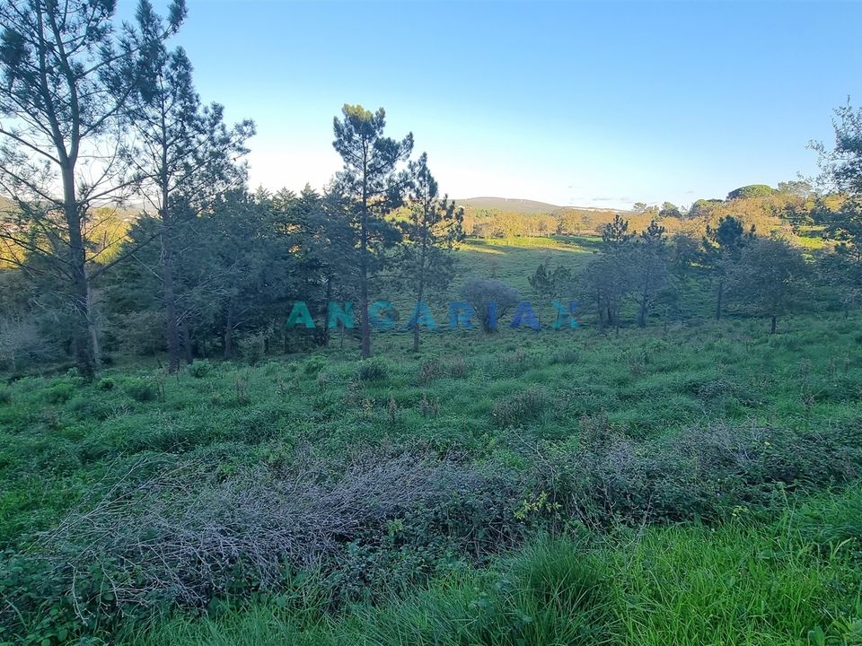 Helårsgrund i Pombal, Leiria - foto 5
