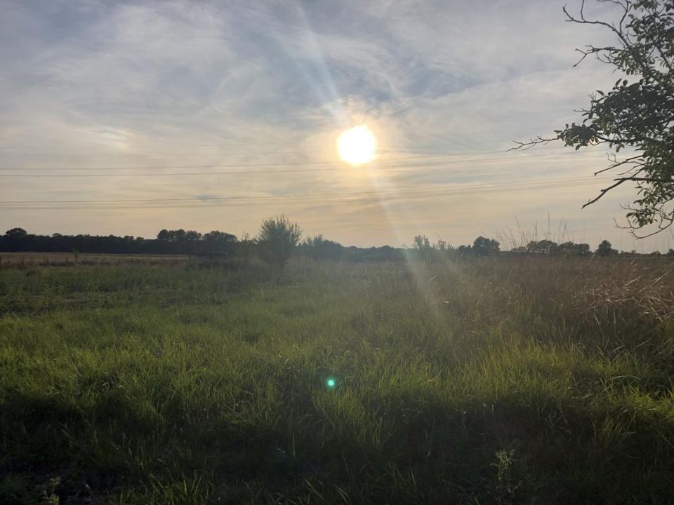 Helårsgrund i Bois, Charente-Maritime - foto 1