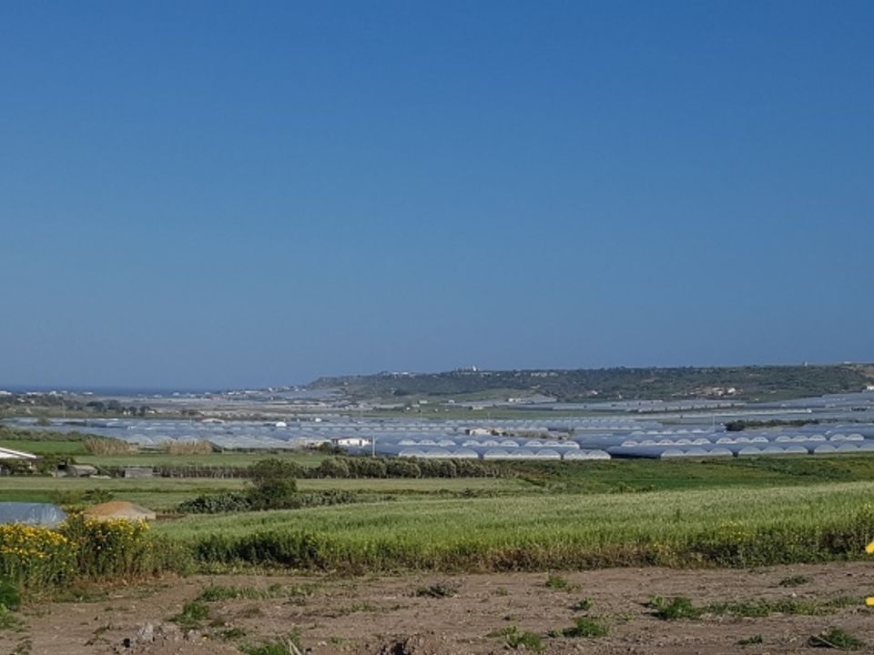 Helårsgrund i Pachino, Siracusa - foto 1
