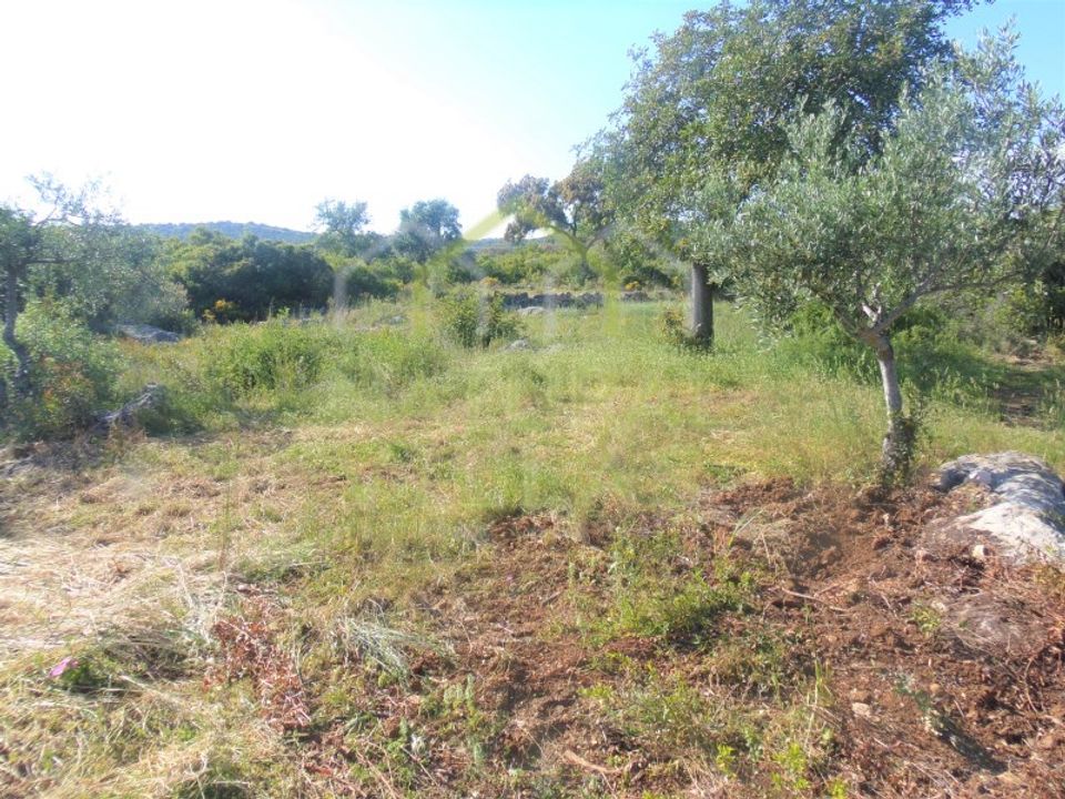 Helårsgrund i Santa Barbara de Nexe, Faro - foto 3