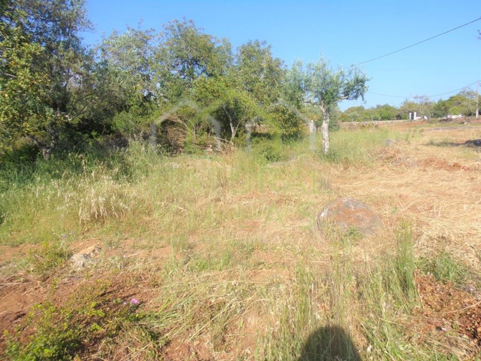 Helårsgrund i Santa Barbara de Nexe, Faro - foto 5