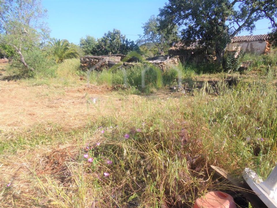 Helårsgrund i Santa Barbara de Nexe, Faro - foto 2