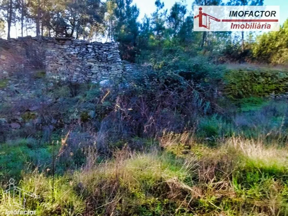 Helårsgrund i Castelo Branco, Castelo Branco - foto 1