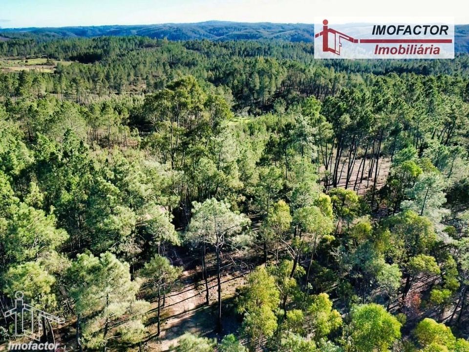 Helårsgrund i Castelo Branco, Castelo Branco - foto 4
