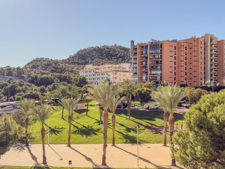 Apartment in Villajoyosa, Alicante - photo 2