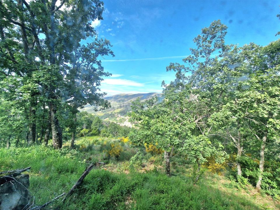 Villa i Guarda, Guarda - foto 2