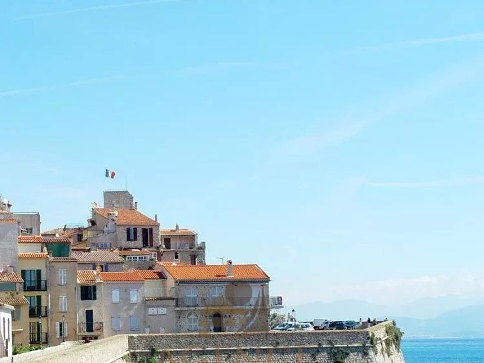 Erhvervsejendom i Antibes, Alpes-Maritimes - foto 1