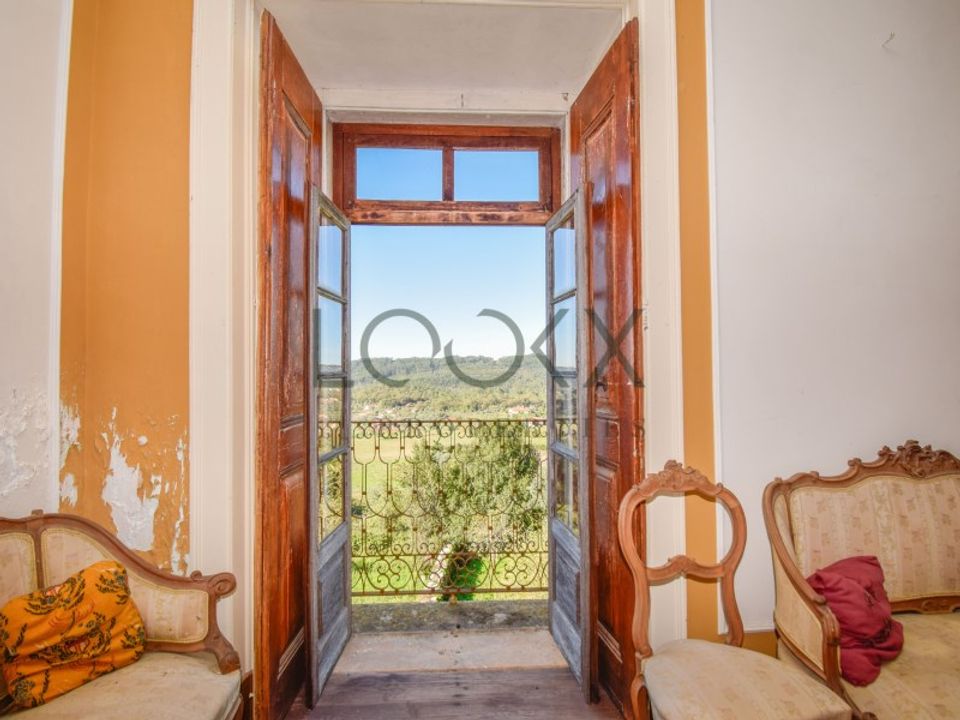 Farm i Ferreira do Zezere, Santarem - foto 4