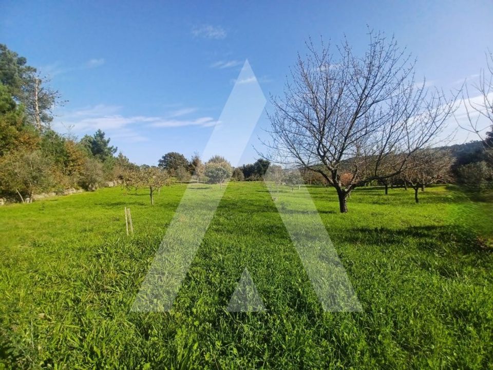 Farm i Viseu, Viseu - foto 5