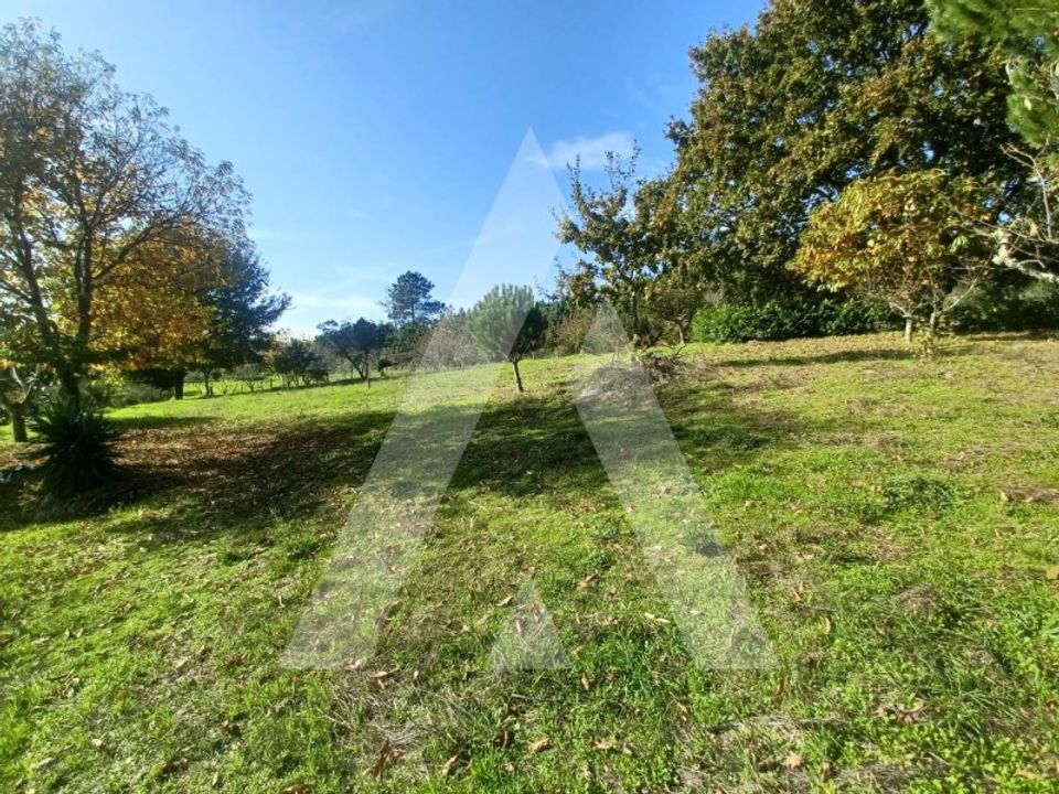 Farm i Viseu, Viseu - foto 3