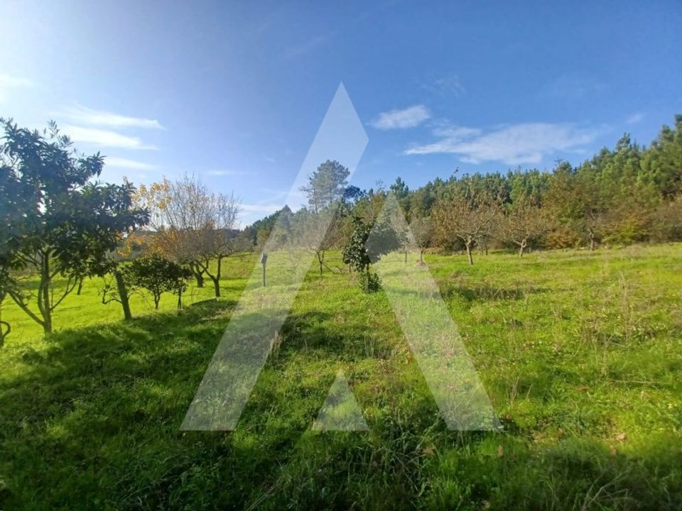 Farm i Viseu, Viseu - foto 4