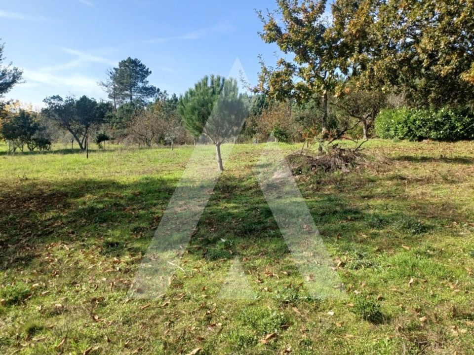 Farm i Viseu, Viseu - foto 2