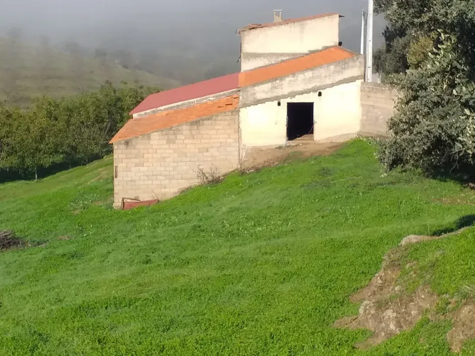 Villa i Alfandega da Fe, Braganca - foto 3