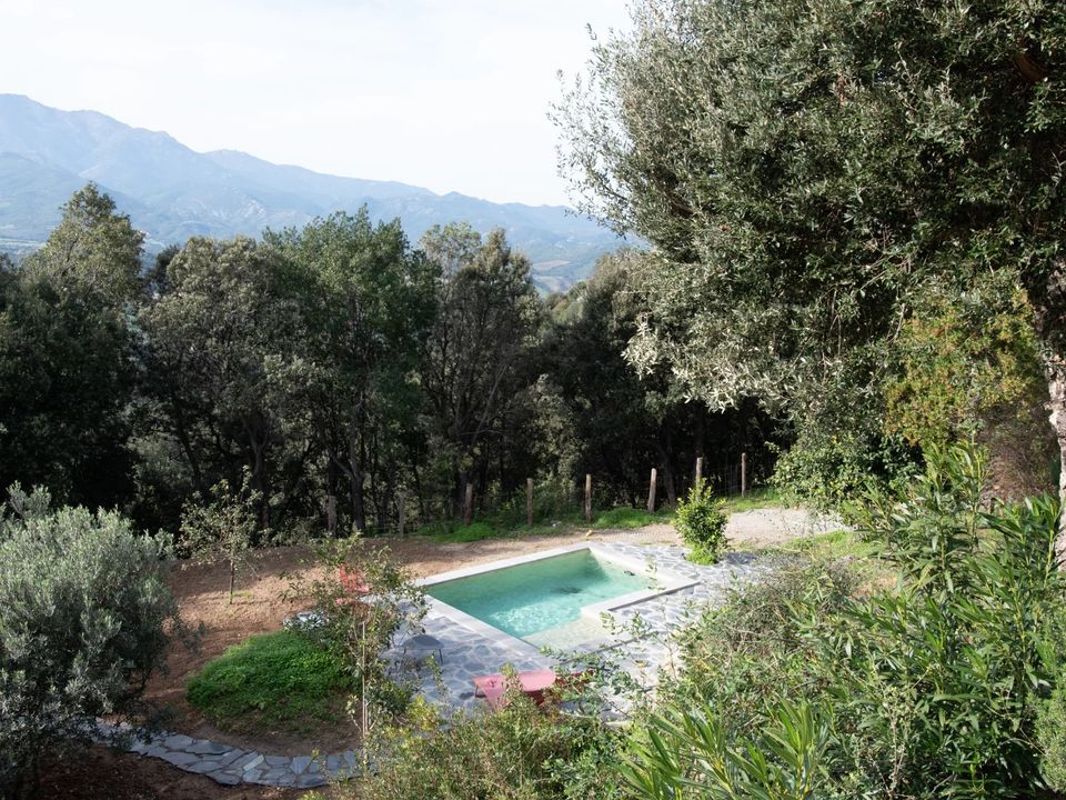 Villa i Poggio-dOletta, Haute-Corse - foto 2