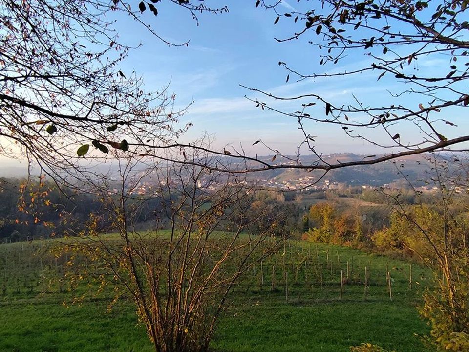 Villa i Dogliani, Cuneo - bilde 4
