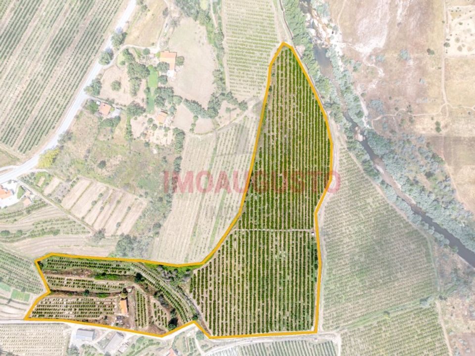 Farm i Valhelhas, Guarda - foto 2