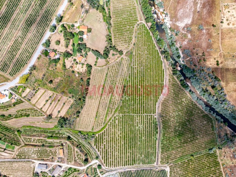 Farm i Valhelhas, Guarda - foto 3