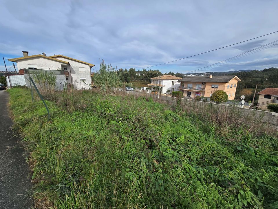 Tomt i Vila de Cucujaes, Aveiro - bilde 2