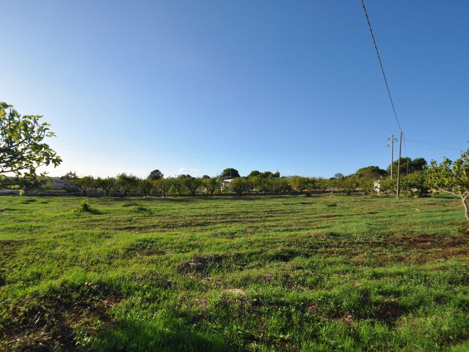 Villa i Ostuni, Brindisi - foto 3