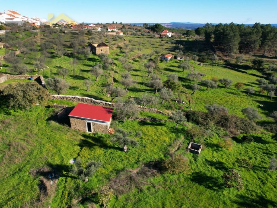 Farm i Perais, Castelo Branco - foto 1