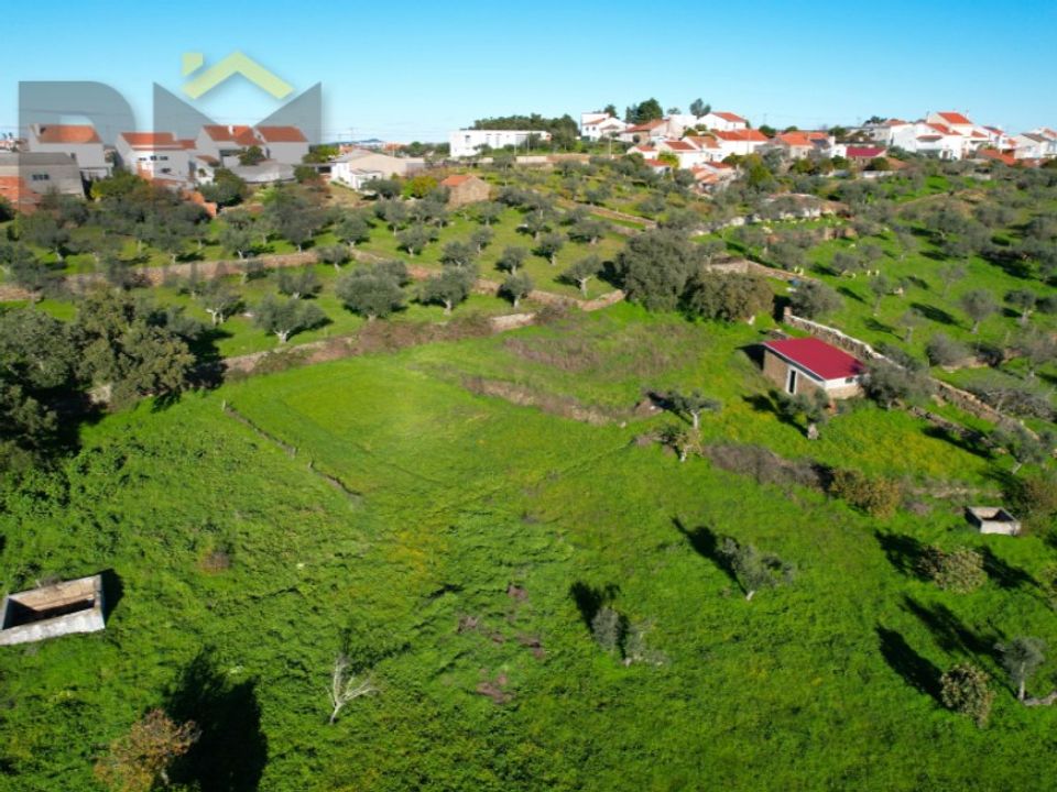 Farm i Perais, Castelo Branco - foto 2