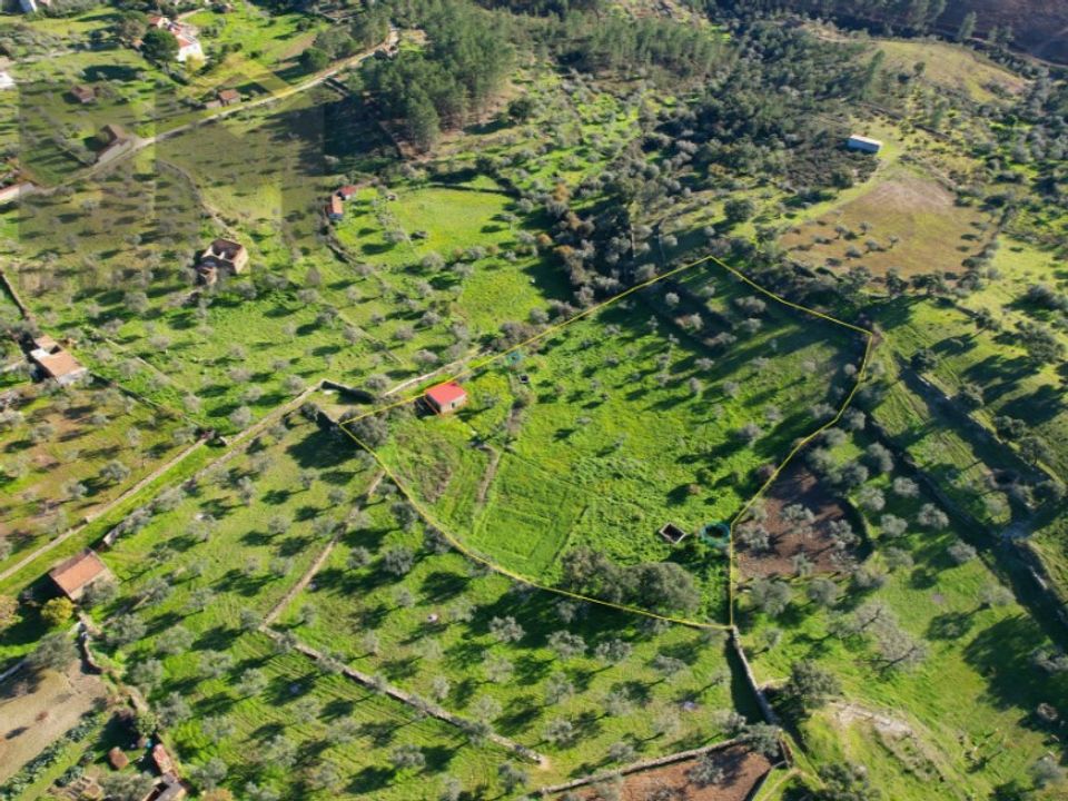 Farm i Perais, Castelo Branco - foto 3