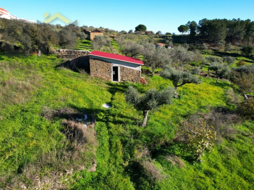 Farm i Perais, Castelo Branco - foto 4