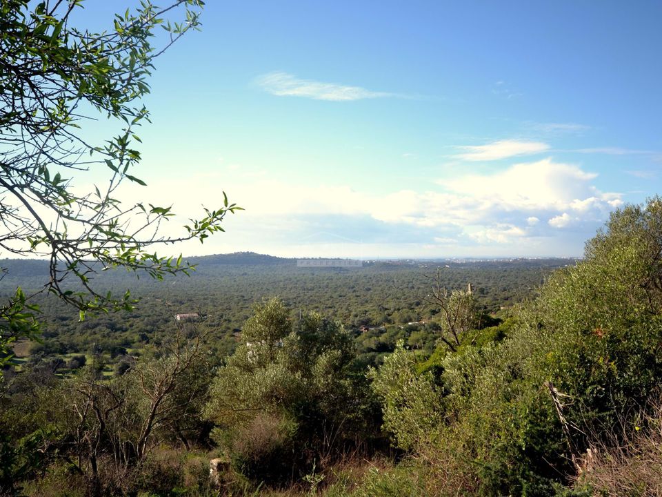Helårsgrund i Loule, Faro - foto 4