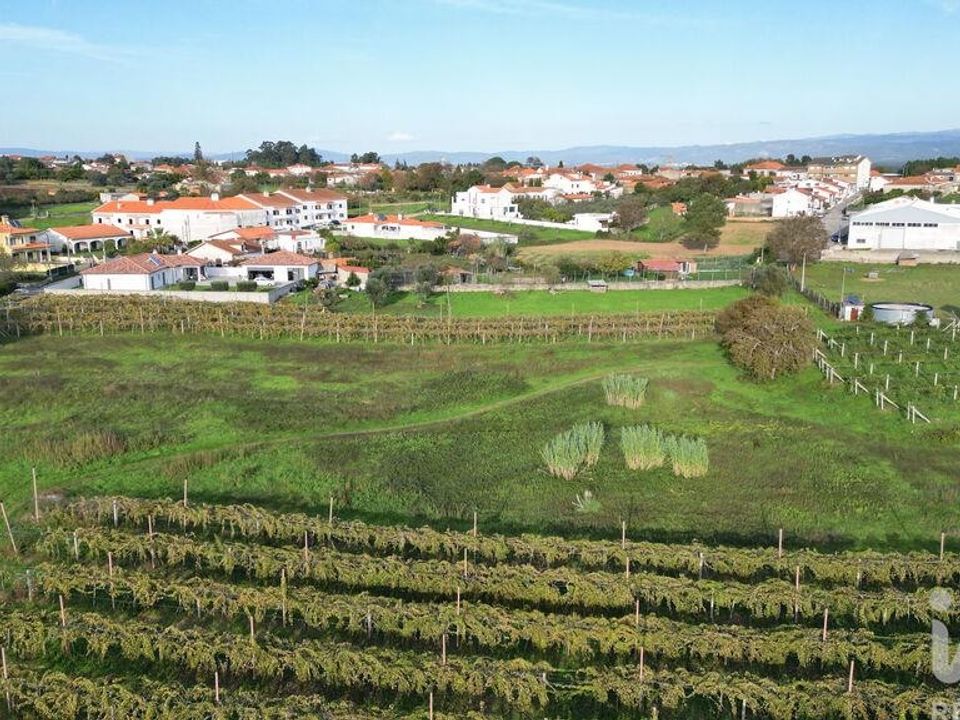 Helårsgrund i Anadia, Aveiro - foto 4