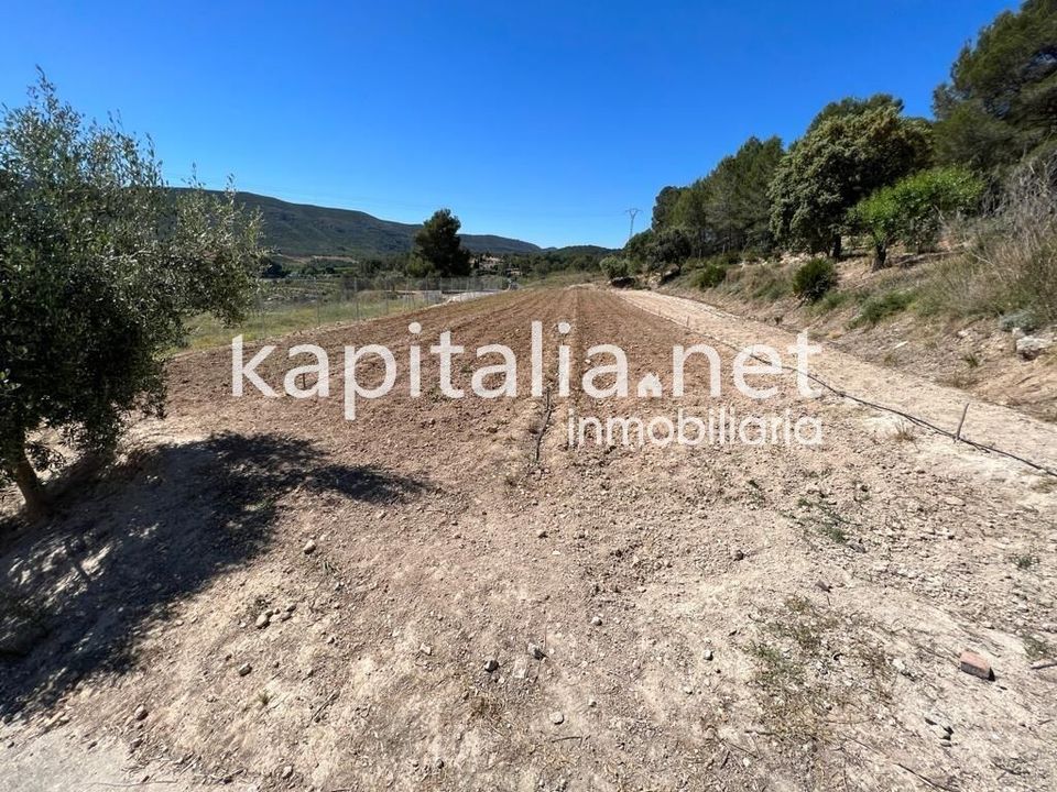 Landejendom i Xativa, Valencia - foto 3